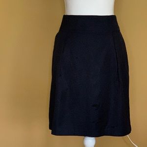 Navy Banana Republic Lined Skirt - Never Been Worn